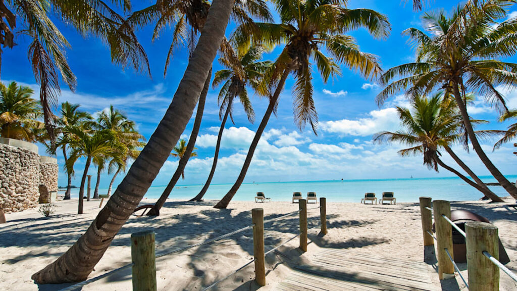 florida-sungwing-ca