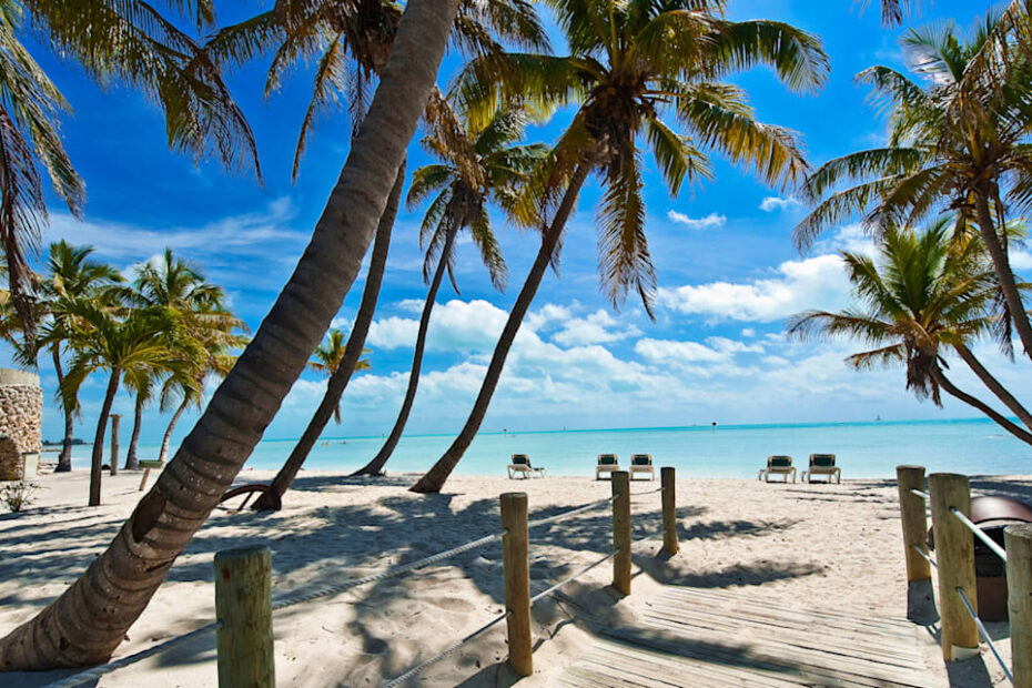 Sunny day on a white sand beach with blue skies and palm trees